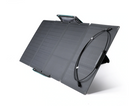 EcoFlow DELTA + 110W Solar Panel