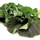 Various Vegetable Seed Pods for the AEVA and EVE Indoor Gardening System