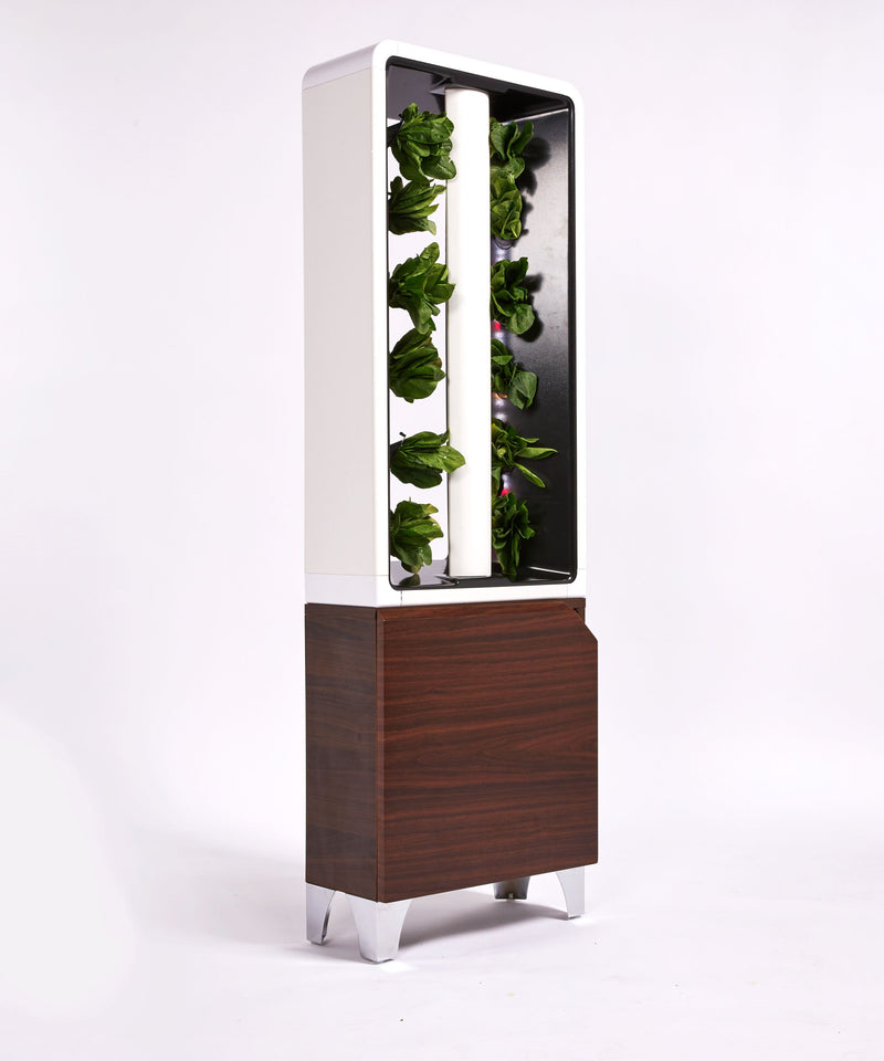 EVE - Small Hydroponic Indoor Garden System