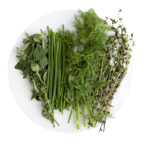 Refined Herb Mix for the AEVA and EVE Indoor Garden System