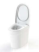 Cinderella Incinerating Urinal