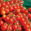 Various Vegetable Seed Pods for the AEVA and EVE Indoor Gardening System